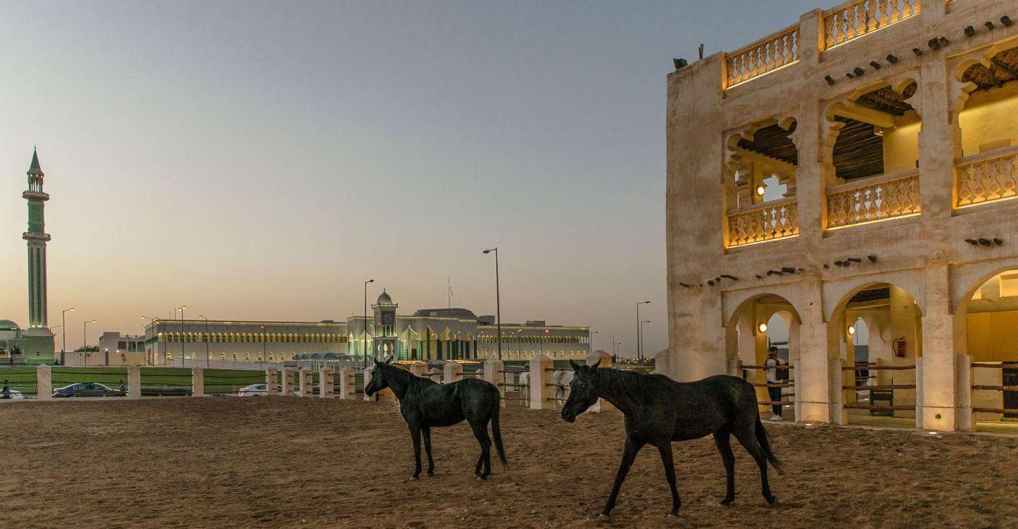 Doha Guided City Tour to Souq Waqif, Katara, & Pearl-Qatar photo 7