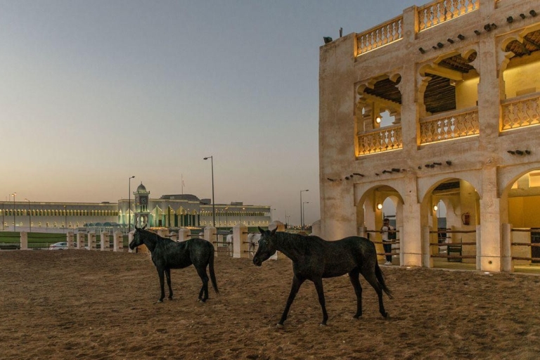 Doha : Visite guidée de Souq Waqif, Katara et Pearl-Qatar