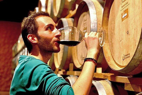 Valle de Guadalupe : Dégustation de vin et visite en calèche