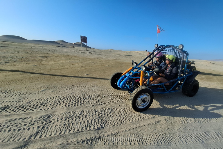 Paracas: Ballestas Islands Boat Tour & Mini Buggy Ride