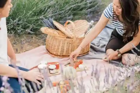 Aix-en-Provence: Visit to a lavender field + snacks