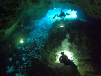 Bayahibe - dykking i Cenotes - Godive Bayahibe