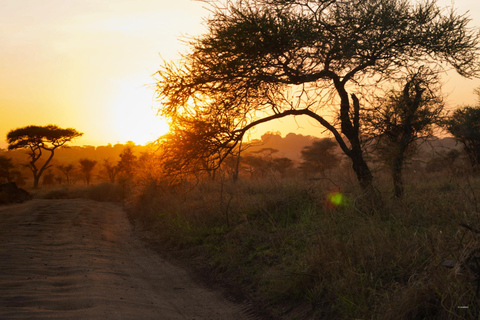 5-Day Mid-Range Group Safari to Tanzania's most famous parks