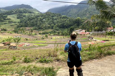 Tedo 7 Waterfalls Peak Adventure – Knuckles Mountain Range