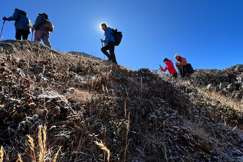 Explorando Langtang: Un viaje de 12 días desde Katmandú