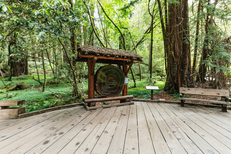 De San Francisco: visite en groupe de Muir Woods et Sausalito