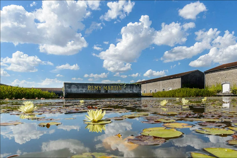 Rémy Martin Discover the production site by train Rémy Martin Découverte en train du site d'élaboration