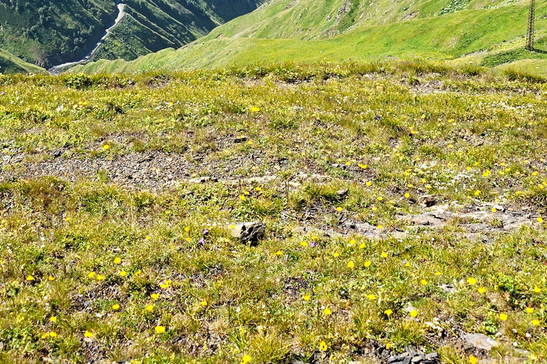 تبليسي: جولة جبال توشيتي لمدة 3 أيام مع وجبات الطعام والفندق
