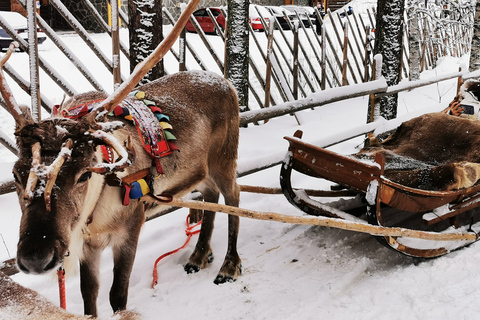 Rovaniemi: Incontra Babbo Natale, giro in slitta trainata da renne e husky