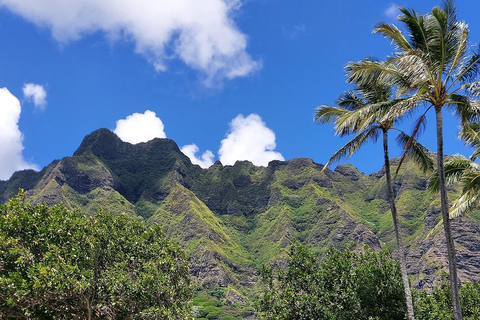 O&#039;ahu: Privétour langs de zuidkust met ophaalservice vanaf je hotel