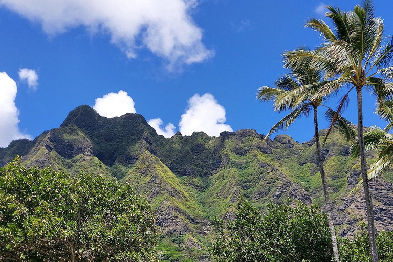 O&#039;ahu: Privétour langs de zuidkust met ophaalservice vanaf je hotel