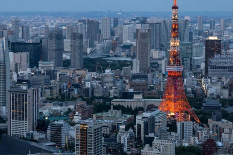 Tour privado de la ciudad de Tokio personalizado con conductor de habla inglesa