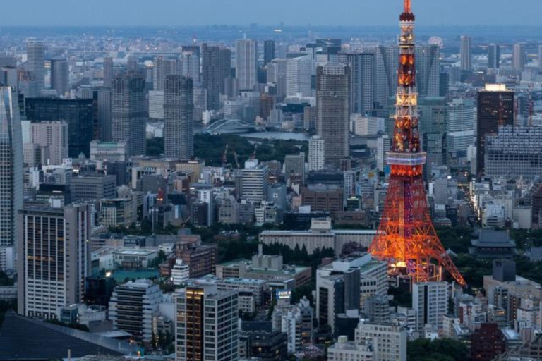 Tour privado de la ciudad de Tokio personalizado con conductor de habla inglesa