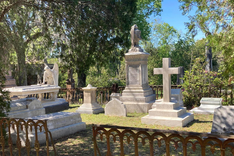 El aficionado a la Historia: Tour histórico a pie por el centro de Savannah