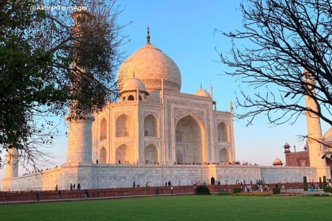 From Delhi: One-Day Taj Mahal, Agra Fort & Baby Taj Tour Taj Mahal Agra Private Tour Guide