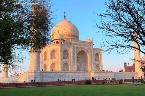 De Délhi: Viagem de 1 dia ao Taj Mahal em Agra com guia e trasladoDe Délhi: Taj Mahal Agra, passeio de um dia com guia e traslado