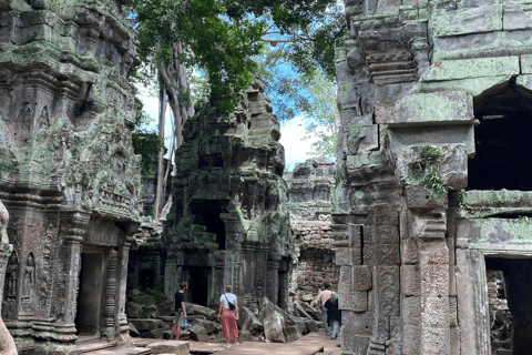 Tour privato di Angkor Wat e del tempio della giungla