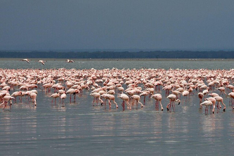 From Nairobi: Overnight Lake Nakuru and Hells Gate