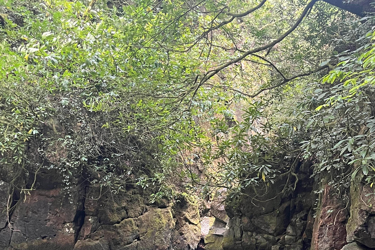 Batumi: Hike and Swim in Mtirala National Park Batumi: Extreme Escape – ATV, Parasailing & Buggy