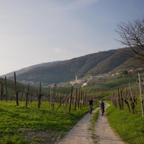 Visit Valdobbiadene self-guided e-bike tour in the Prosecco Hills in Valdobbiadene