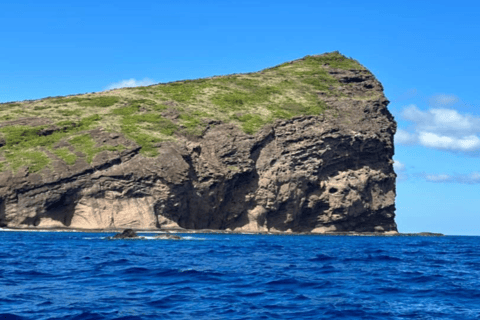 Bateau rapide privé des 3 îles avec déjeuner et plongée avec masque et tuba sur les tortues de mer