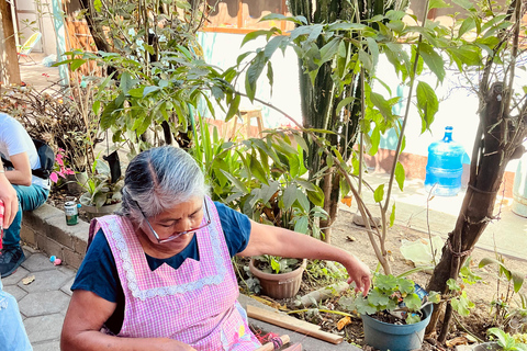 Route de l&#039;artisanat : San Martín Tilcajete, Jalietza et Ocotlán