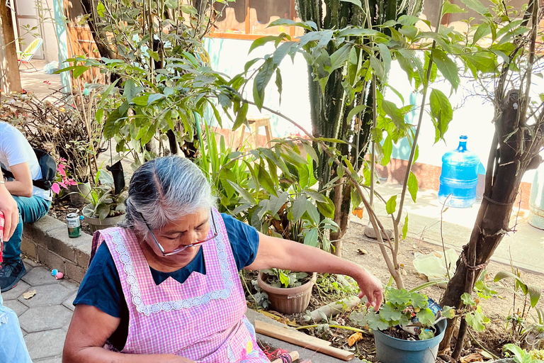 Route de l&#039;artisanat : San Martín Tilcajete, Jalietza et Ocotlán