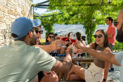 From Porto: 2 Boutique Wineries w/ Winery Lunch & 1-h cruise Tour in English