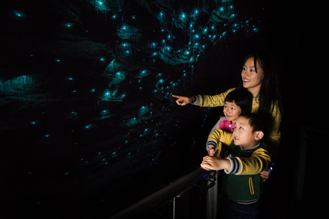 From Auckland: Waitomo Glowworm and Ruakuri Caves Day Tour