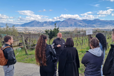 Naples/Salerno Port: Pompeii & Herculaneum - Optional lunch FROM NAPLES: Semi Private Group - NO LUNCH