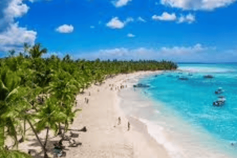 From Punta Cana: Samaná Bay Whale Watching & Waterfall Tour