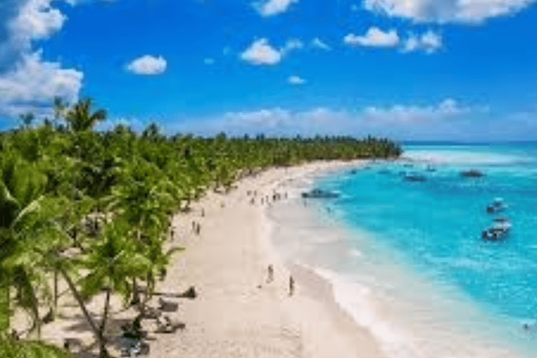From Punta Cana: Samaná Bay Whale Watching & Waterfall Tour
