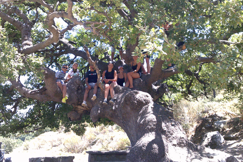 Safari en buggy en Crète (transfert et déjeuner) analipsi- hersonisos