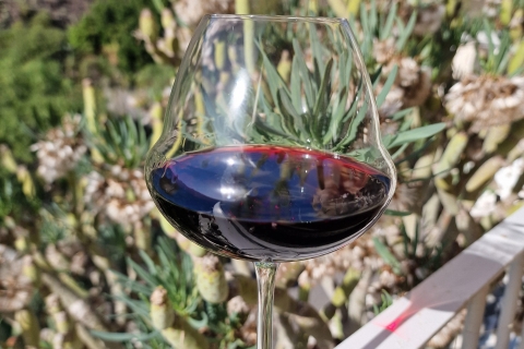 Gran Canaria: degustacja wina i lokalnych serów