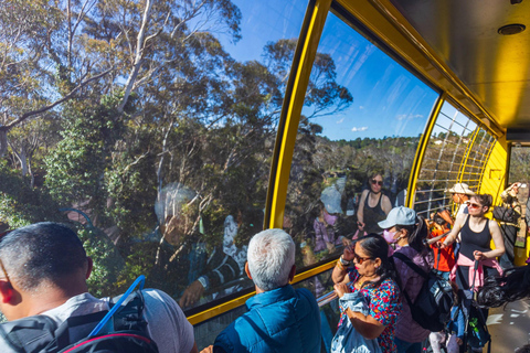 Private Blue Mountains, Scenic World & Wentworth Falls Tour Fully Private & Premium Experience