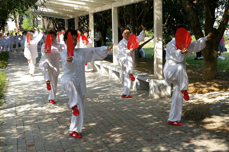 Chengdu: Tai Chi & Kung Fu Class with a Master