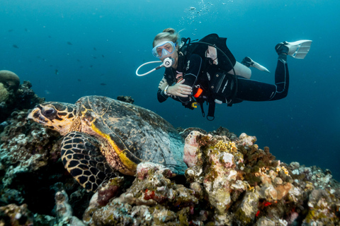 Gili Islands: Discover Scuba Diving Experience
