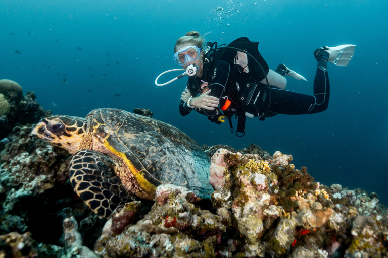 Gili Islands: Discover Scuba Diving Experience