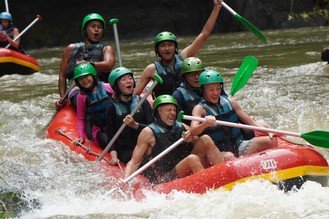 Ubud: Ayung River Rafting With Waterfalls & Jungle Cliffs