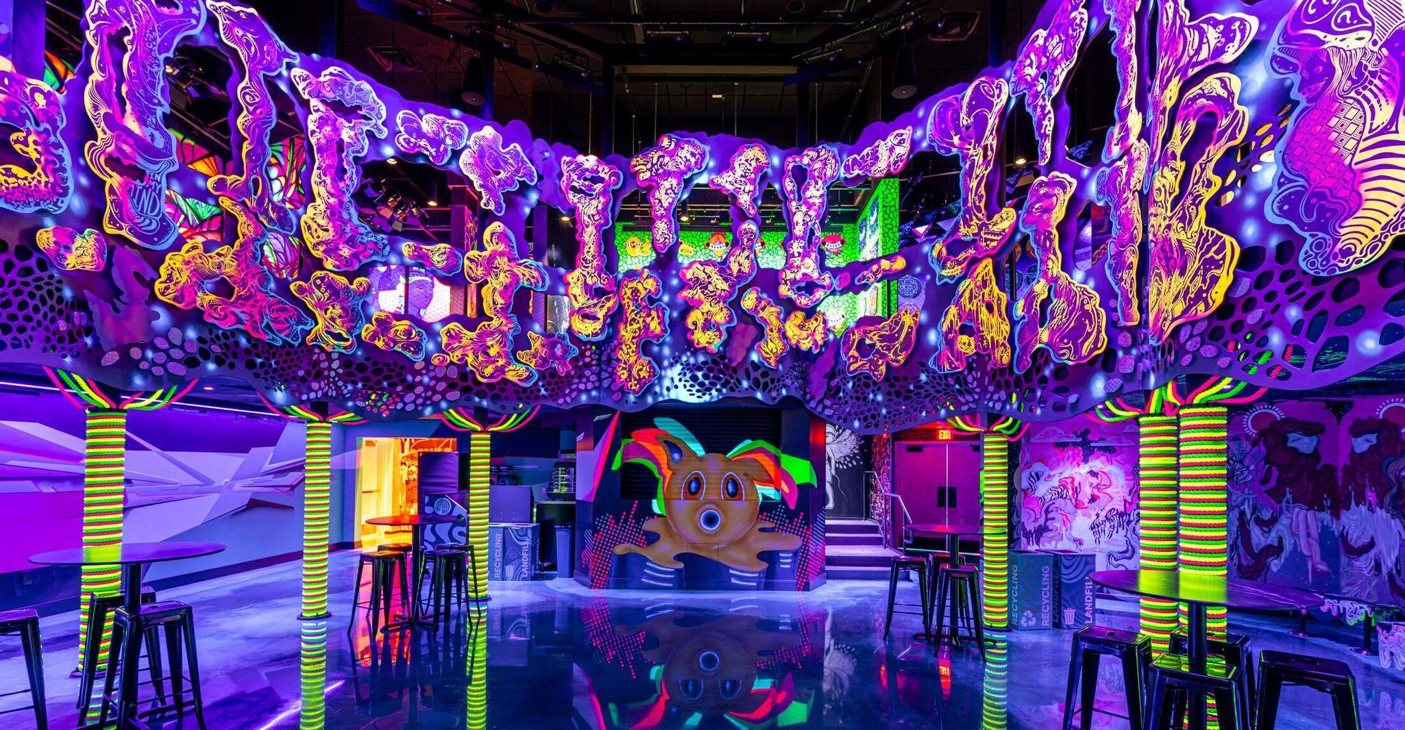 Houston: Meow Wolf - Radio Tave Ticket photo 4