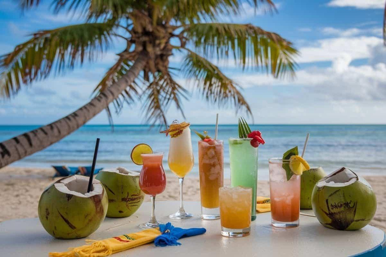 Saona Island Relax: Beach, Natural Pool, Food and Drinks All Inclusive