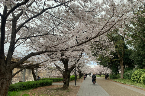 Osaka: Guidad promenad med en inhemsk expert - de största sevärdheterna