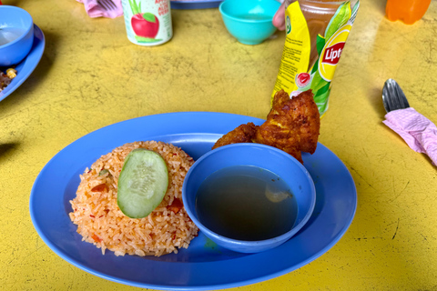 From Kuala Lumpur: Kuala Gandah Elephant Sanctuary Day Trip Shared Tour at Meeting Point Options