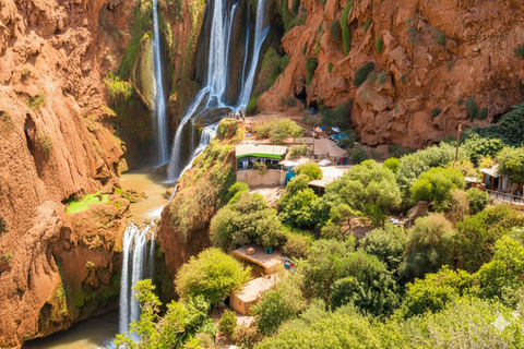 乌祖德瀑布：导游陪同的一日旅行和游船乌祖德瀑布：私人一日游（含导游及乘船游览）