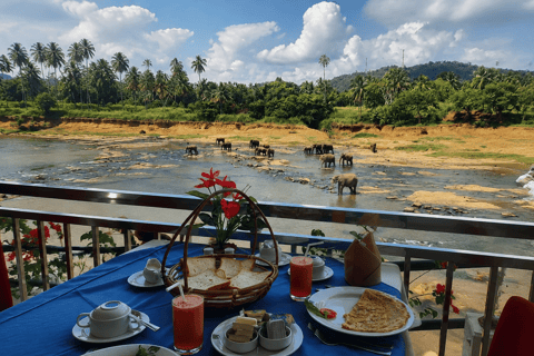 Colombo Airport ⇄ Sigiriya/Kandy/Ella/Yala Private Transfer Private Car with Driver – Up to 50 km