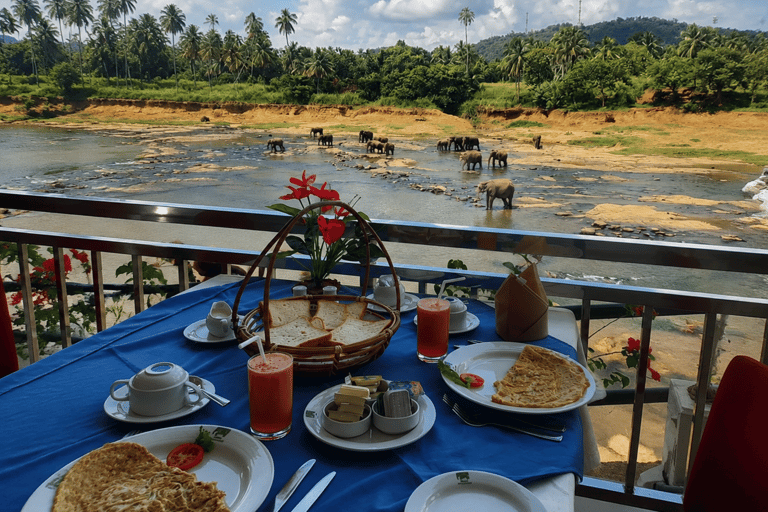 Colombo Airport ⇄ Sigiriya/Kandy/Ella/Yala Private Transfer Private Car with Driver – Up to 50 km