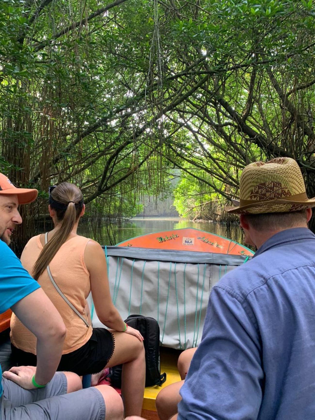 Ab Colombo: Mangroven-Fluss-Safari-Erlebnis in Bentota