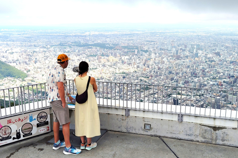 سابورو: جولة تلفريك جبل مويوا - ليلاً أو نهاراً، 4 خياراتاليوم – RT المحلي