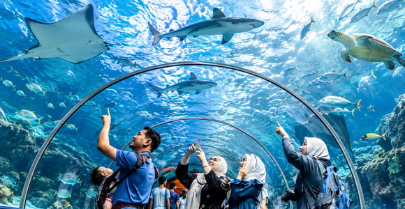 Langkawi: Private City Highlights & Underwater World Tour
