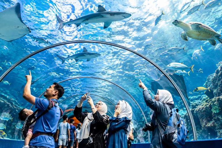 Langkawi: Island Hopping & Underwater World Tour